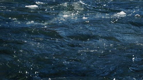 Dynamic Waves and Rolling Waters A Captivating Scenic Overview of the Oceans EverChanging Movement