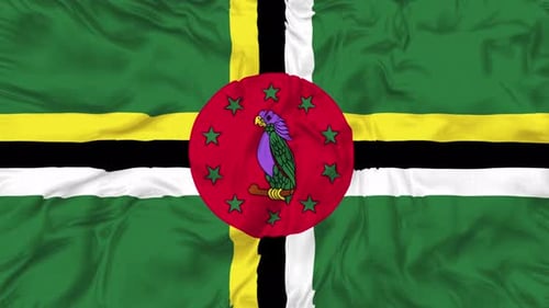 Dominica National Flag Waving with Realistic Fabric Texture