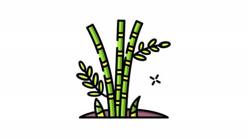 Animated Sugarcane Plant Growing in Flat Design Style