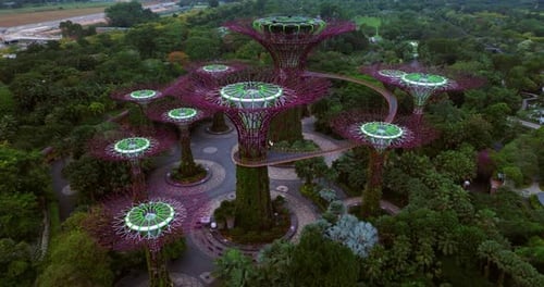 Impresionante perspectiva aérea de Supertree Grove en Gardens By The Bay