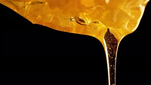 Golden Elixir Enchanting Macro Footage of Honey Dripping Nature's Liquid Gold