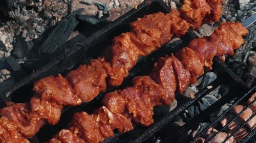 Uncooked Meat and Sausages Grilling over Charcoal