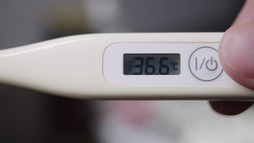 Das Elektronisch Heimthermometer zeigt eine Temperatur von 366 Grad Celsius an