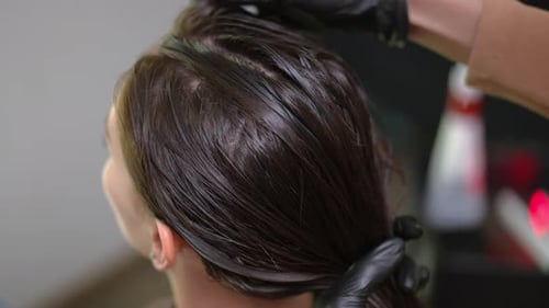 Stylist Applies Dark Dye to Woman's Brown Hair