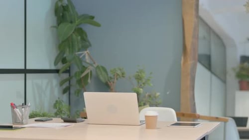 Senior Man Using Laptop at Office Workplace