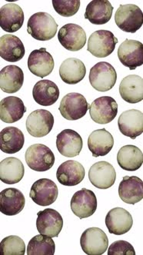 Falling White and Purple Turnips Vertical Motion Background