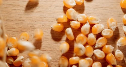 Close-up spilling lots of dried corn kernels on a wooden table out of a brown paper bag until nearly