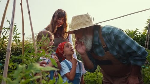 Family Gardening Together in the Summer Sunlight