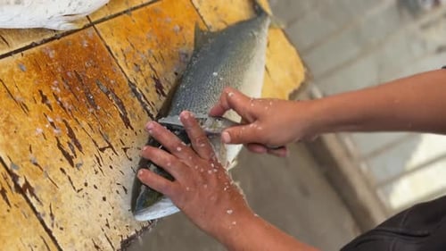 Cleaning Fish