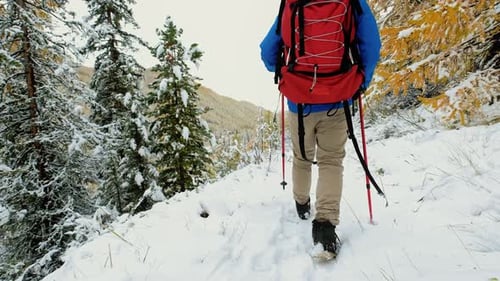 Hiker Walking in Winter Snowy Forest Tourist Man with Big Backpack Walking Along the Road in