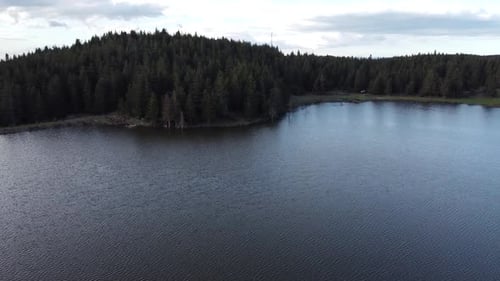 Wonderful Lake And Forest View 2