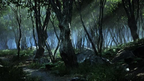 Deep Tropical Jungle in Darkness