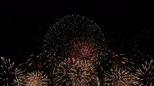 Colorful Fireworks Exploding in the Night Sky
