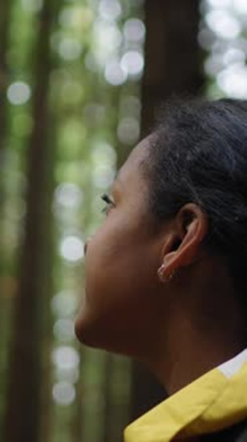 Afroamerikanische Frau im Freien inmitten eines Waldes mit Blick auf die Aussicht und Bewunderung der Natur