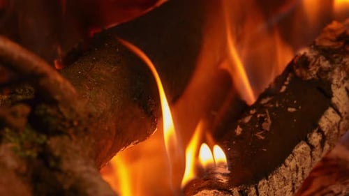 Camp Fire (2K)