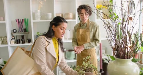Small Business Owner Helping a Customer pick a Plant