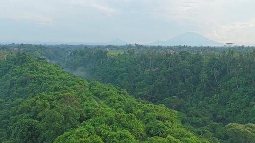 People hiking on the campuhan ridge walk in ubud bali