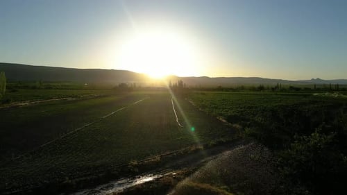 Automatic irrigation systems are used in agricultural fields
