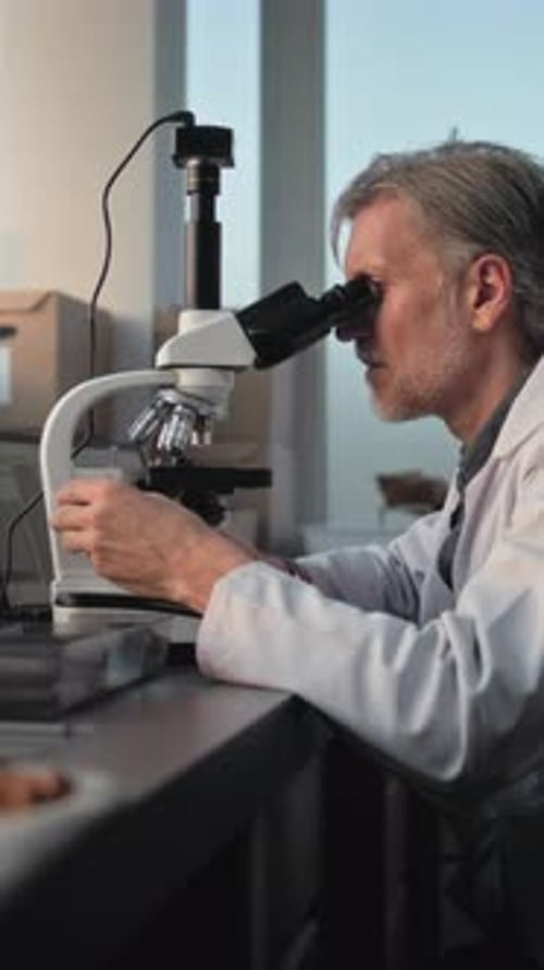 Scientist Using Microscope in Bright Laboratory