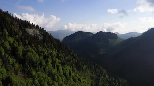 Mountain slopes covered in dense forest, aerial drone view