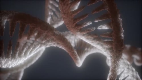 Loop Double Helical Structure of Dna Strand Closeup Animation