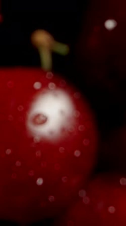 Vertical video.A large abundance of cherries on a table, against a black background. Dolly close-up.
