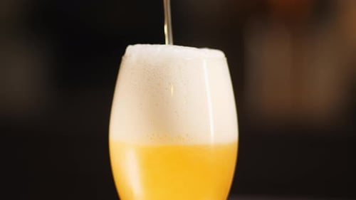 Golden Beer Poured Into a Clear Glass