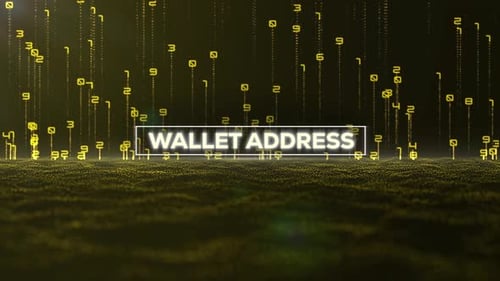 Matrix Binary Code And Wallet Address Word 4 K