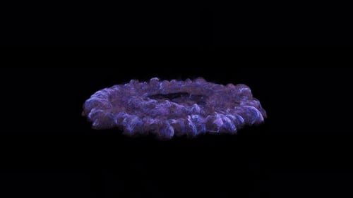 Abstract Energy Burst Particle Reveal