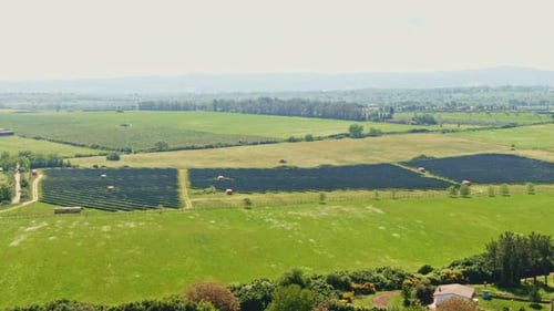 Aerial View of Solar Panels Producing Renewable Energy