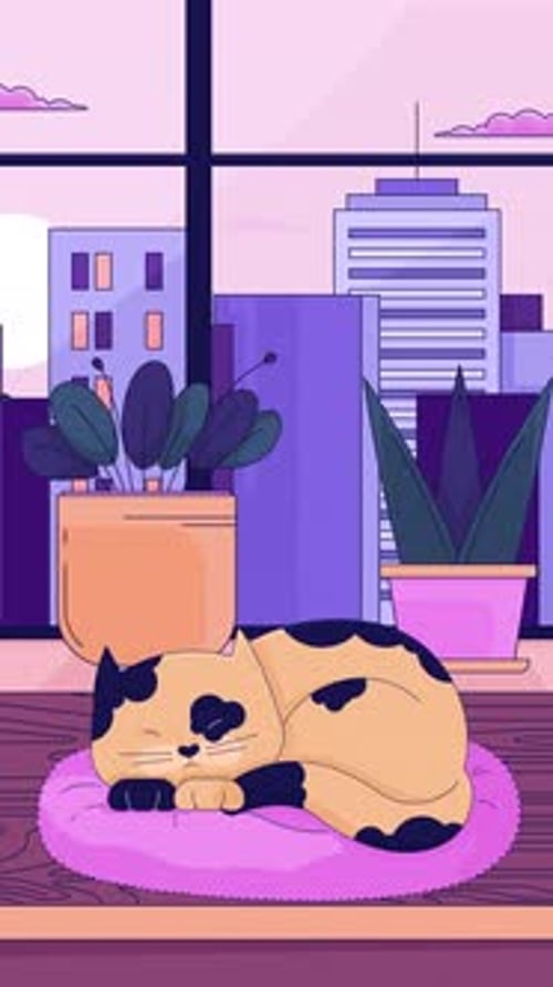 Cozy cat sleeping in urban apartment lofi vertical animation