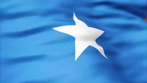 Realistic Waving Flag of Somalia with White Star Loop
