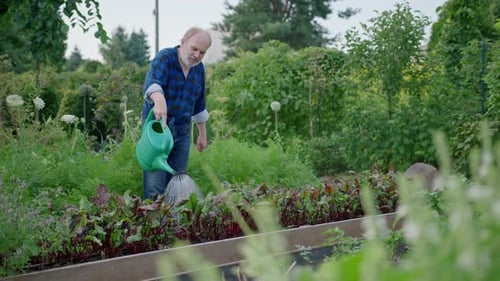 Senior Watering Garden