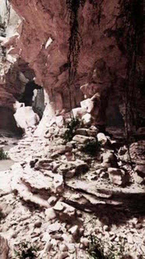 A Stunning Narrow Canyon with Lush Vegetation and Unique Rock Formations