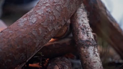 Slow motion close-up of a person lighting up a campfire, smoke coming out from under the logs.
