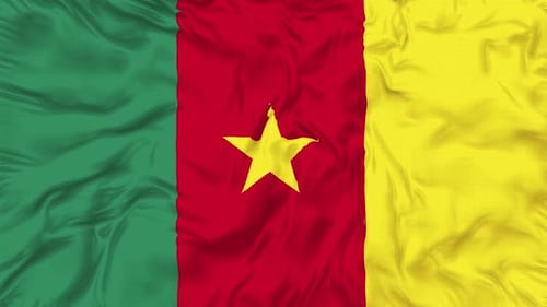 Cameroon Flag Waving Seamless Loop Animation