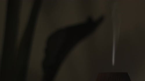 Aromatic Diffuser Emitting White Mist in Dark Room