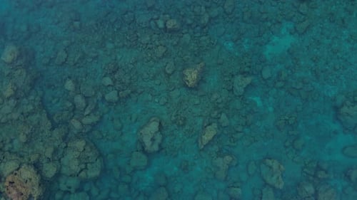 Une nature incroyable 42