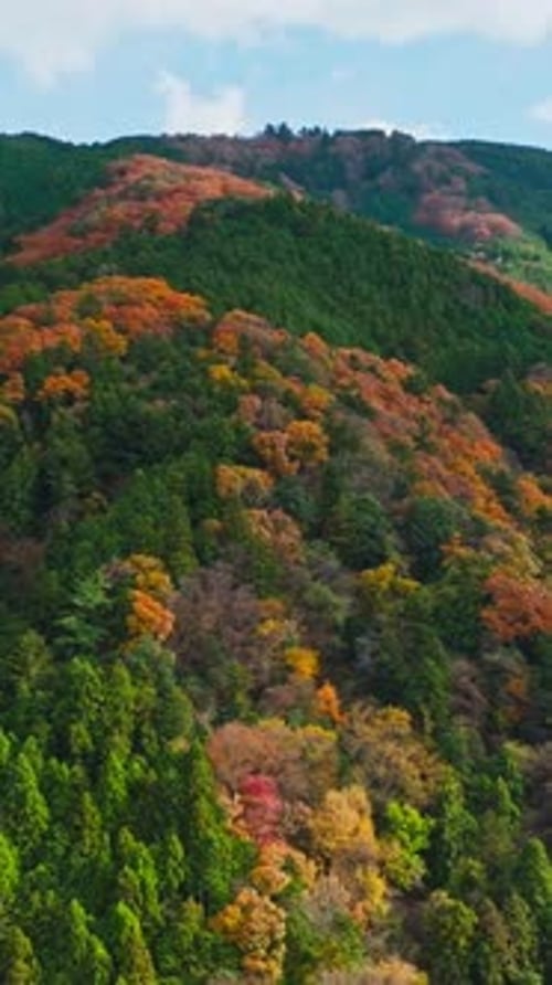 Vertical Aerial landscape of Japanese Mountains with Autumnal forested Colors, Slow motion