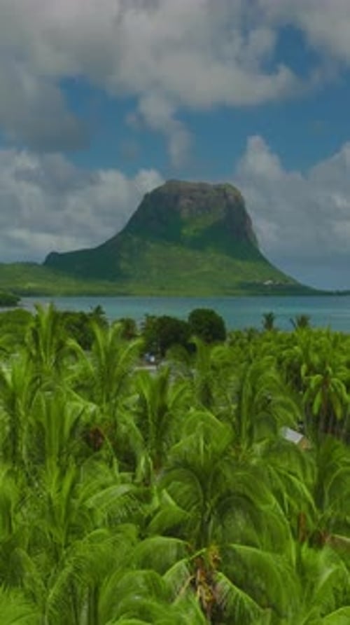 Aerial View Luxury Tropical Beach Live Reef Water Sky and Le Morne Mountain in Mauritius An Aerial