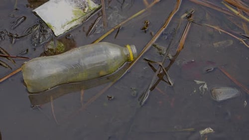 Plastic bottle floats in a river waiting to never biodegrade