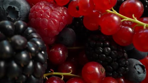Close Up of Assorted Fresh and Ripe Berries