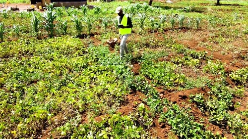 Rural agricultural farms in Kenya. Drone pilot land survey. Smart Agriculture technology.