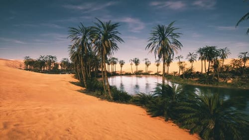Tranquil Oasis with Palm Trees Surrounded By Sandy Dunes at Sunset