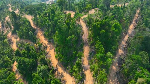 Aerial drone capture of hillside deforestation with winding roads.