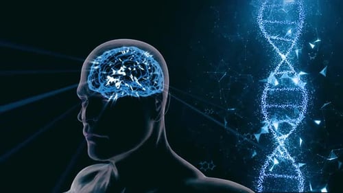 Genetic Diseases And Brain
