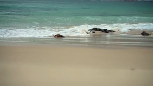 A peaceful beach scene with soft, sandy shores and gentle waves. Rocks partially submerged by the wa