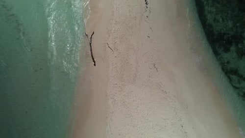 A serene beach with turquoise waters and a lone piece of driftwood on the sand, aerial view