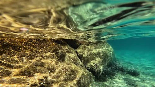 Kleine Quallen schwimmen unter Wasser in Italien