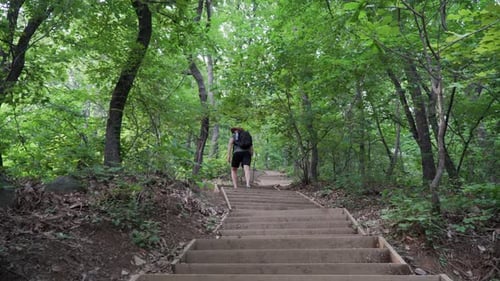 Hiker walking up the hill in the wood, walking on stairs up the trail